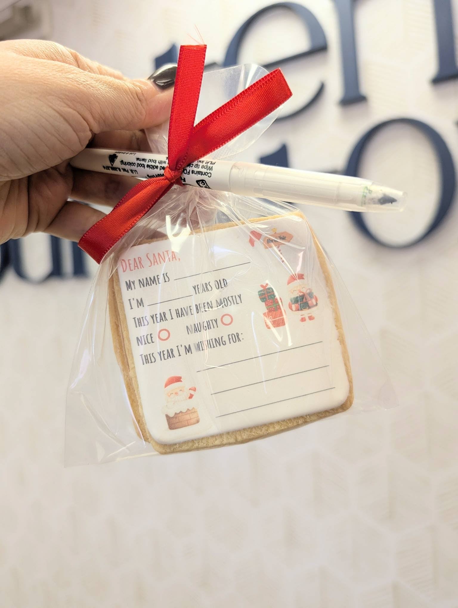 Christmas Cookie Activity Kit