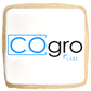 Square Logo Cookies