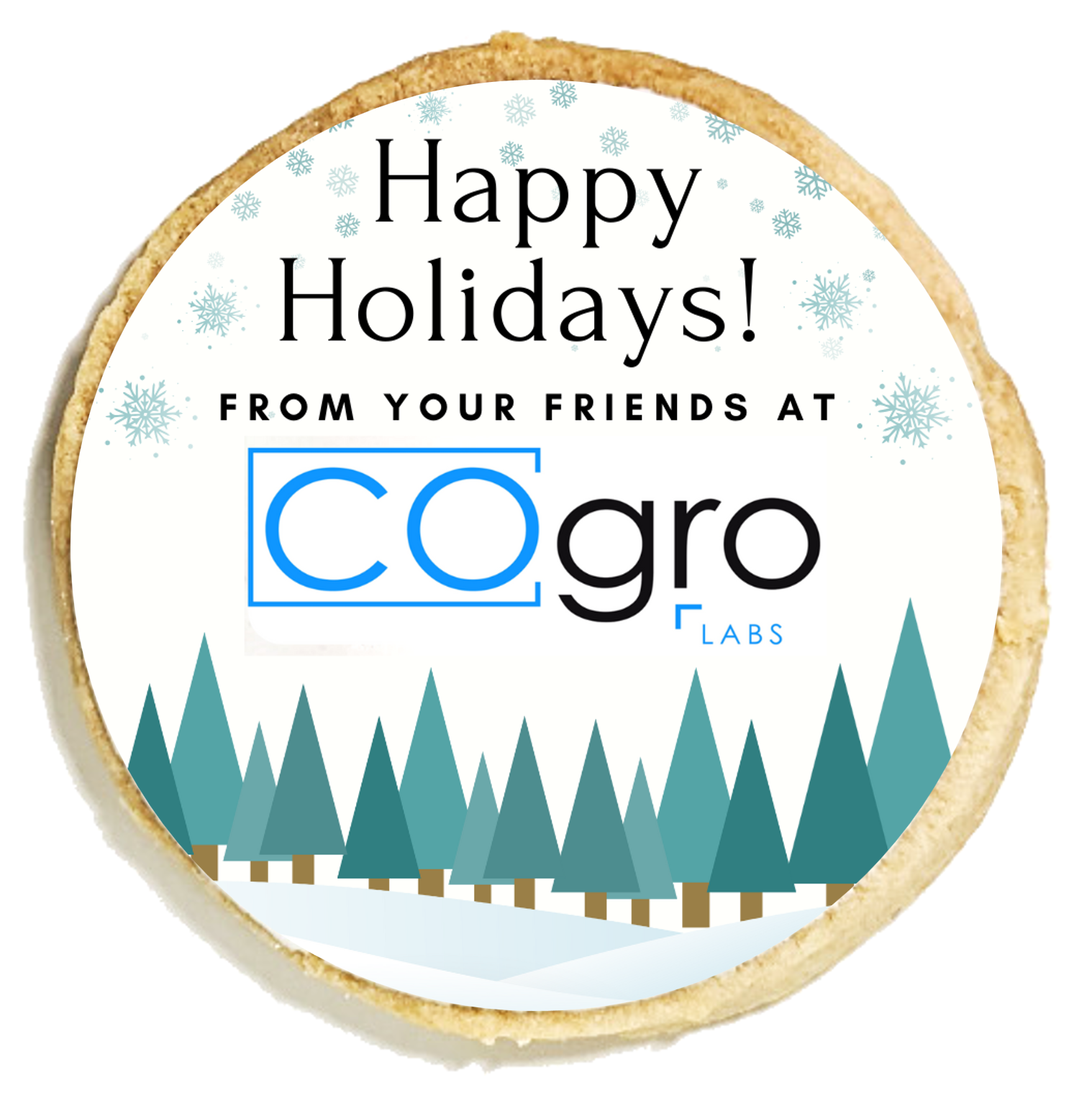 Happy Winter Holidays Logo Cookies
