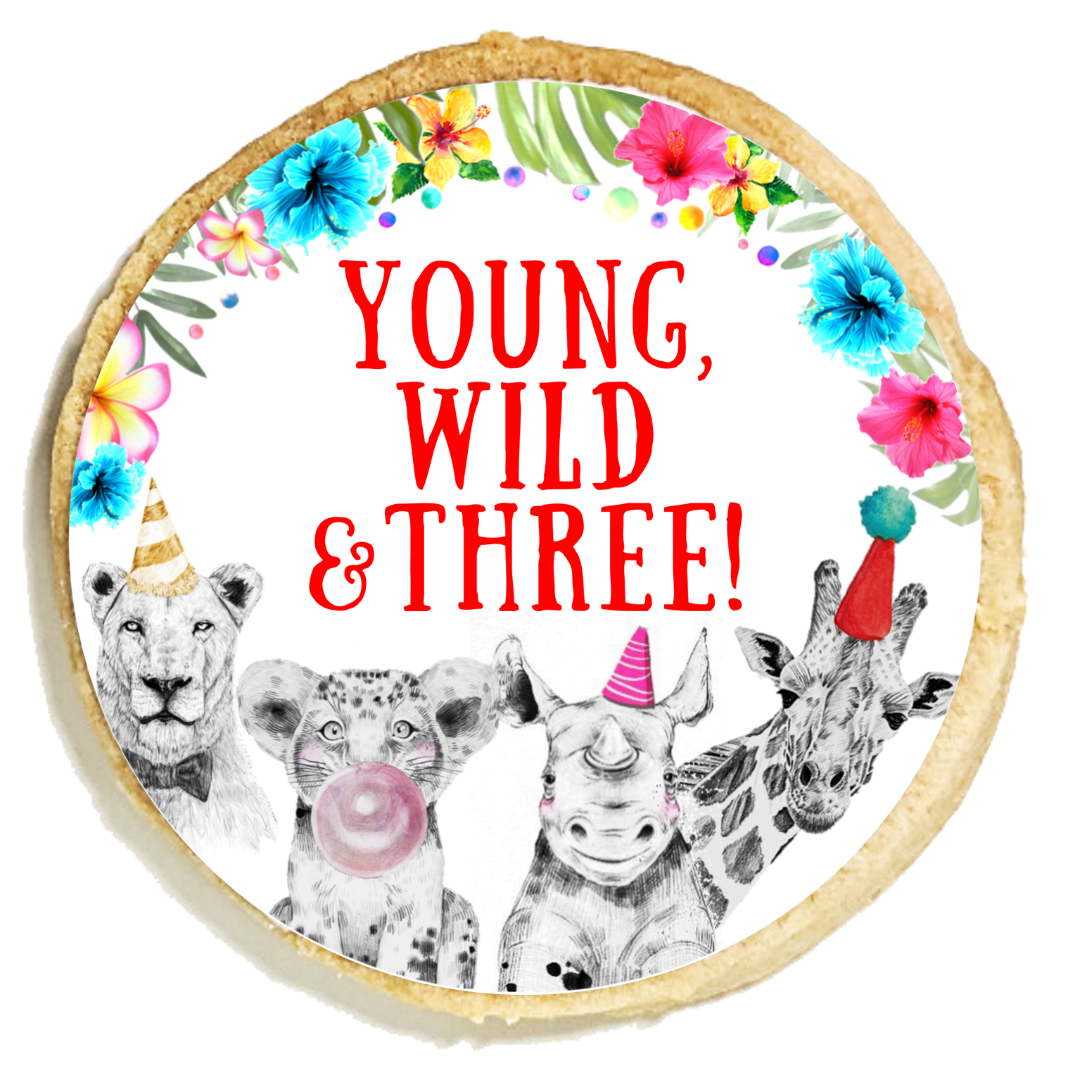 Zoo Animal Birthday Cookies
