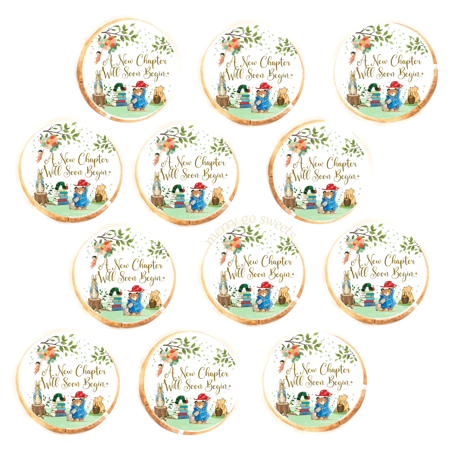A New Chapter Storybook Character Cookies (12)